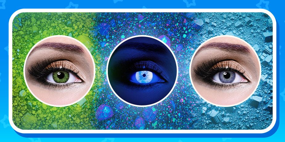 Meet Our Latest Additions