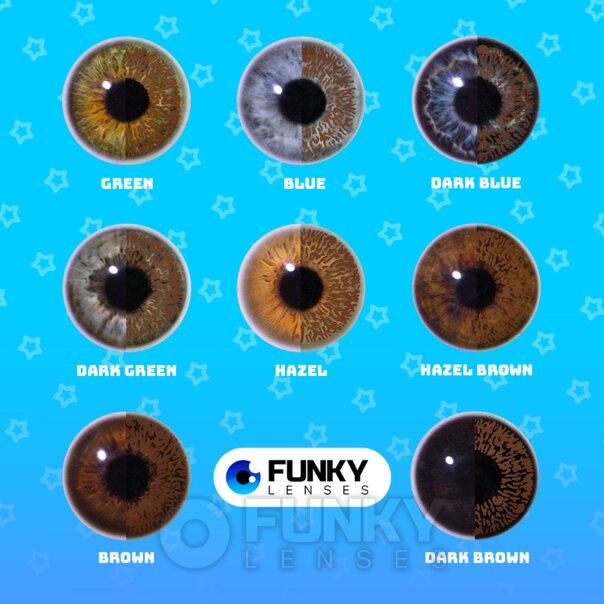 Brown 1 Tone Natural colored Lenses | Daily Contact Lenses
