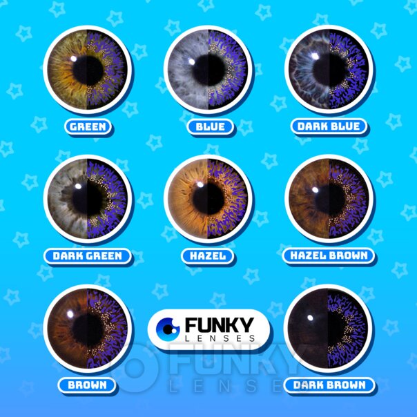 Violet 3 Tone Coloured Lenses | Daily Contact Lenses