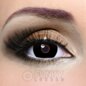Mini Sclera Black Contact Lenses | Daily Costume Contacts