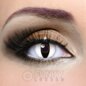 Snake White Contact Lenses | Daily Costume Contacts