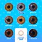 Blend Brown Natural colored Lenses | Monthly Contact Lenses