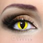 Cat's Eye Yellow Contact Lenses | 90 Day Costume Contacts